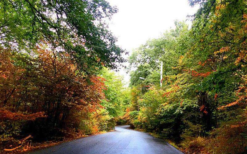جنگل النگدره در گرگان