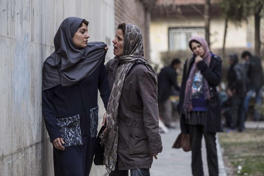 دارکوب