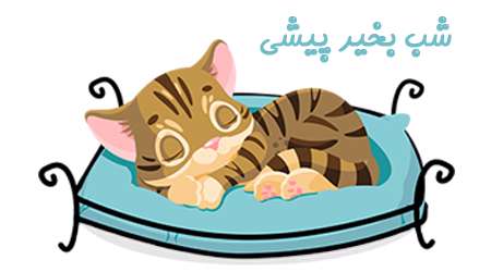 شب بخیر پیشی شب بخیر پیشی