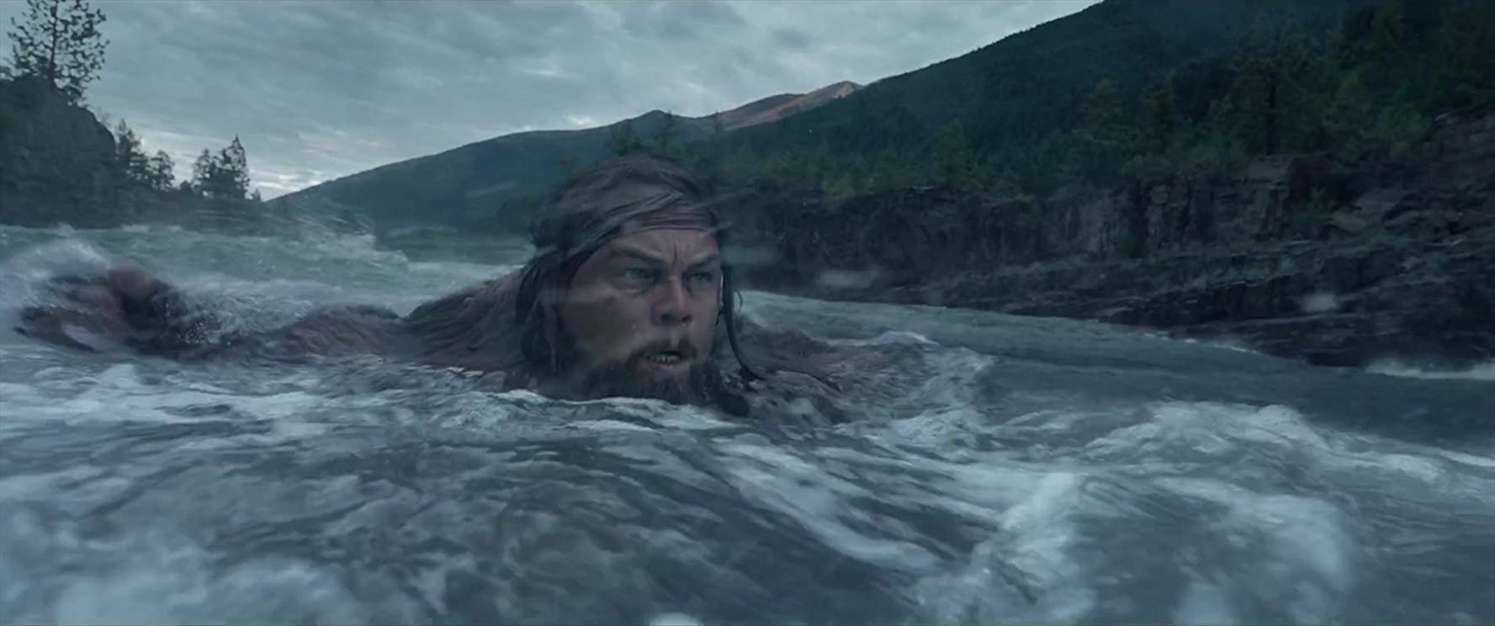 آلبوم لئوناردو دیکاپریو