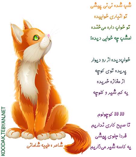 نی نی گربه
