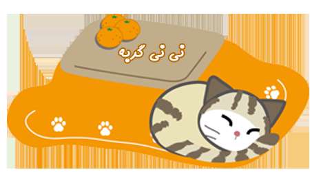 نی نی گربه