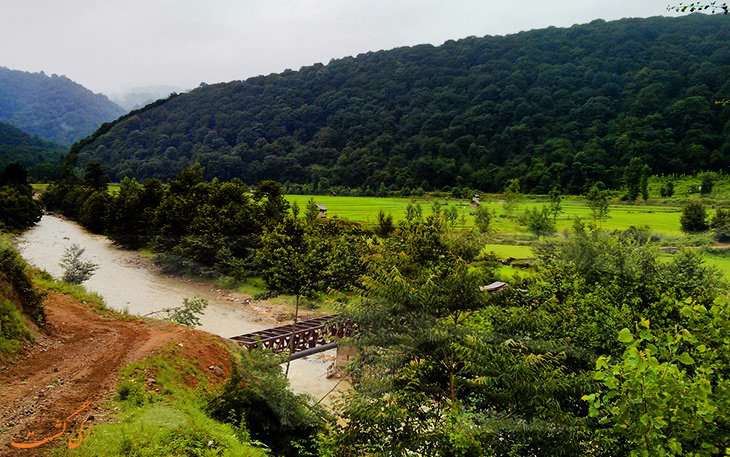 طبیعت سرسبز