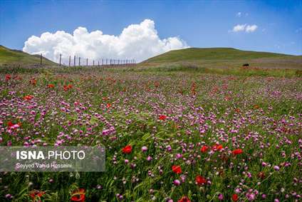 ایران زیبا