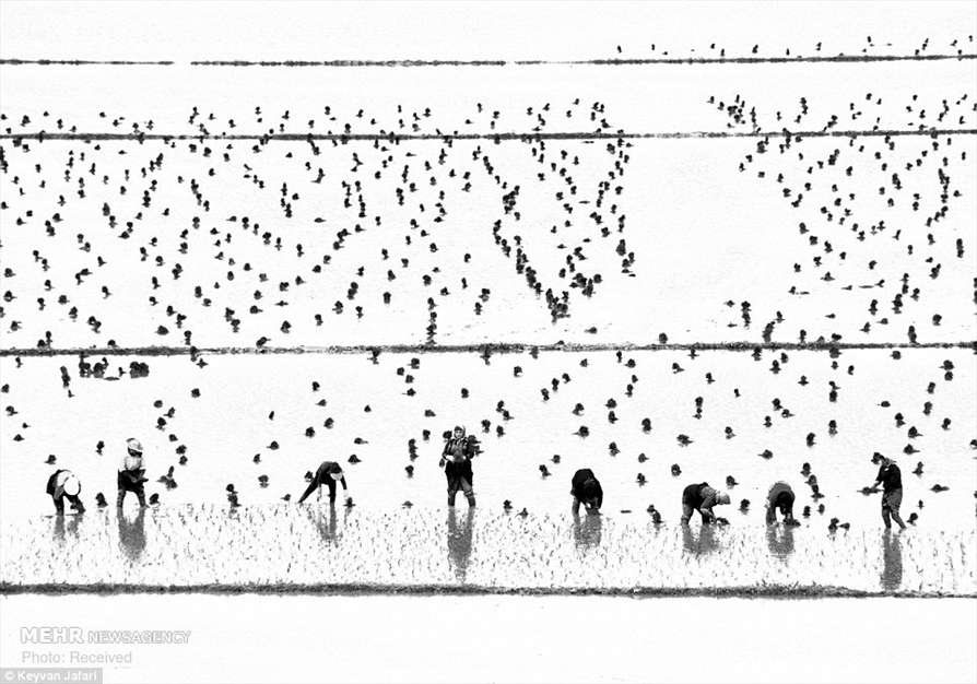 عکس های پهبادی 