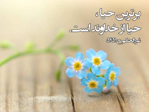 حیا