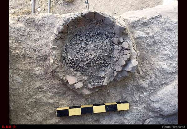 کشف دانههای گیاهی سههزار ساله در قلعه سردار بوکان کشف دانههای گیاهی سههزار ساله در قلعه سردار بوکان