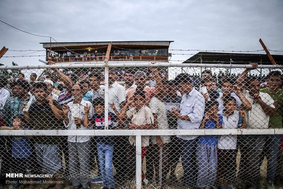 کورس تابستانی سوارکاری بندرترکمن