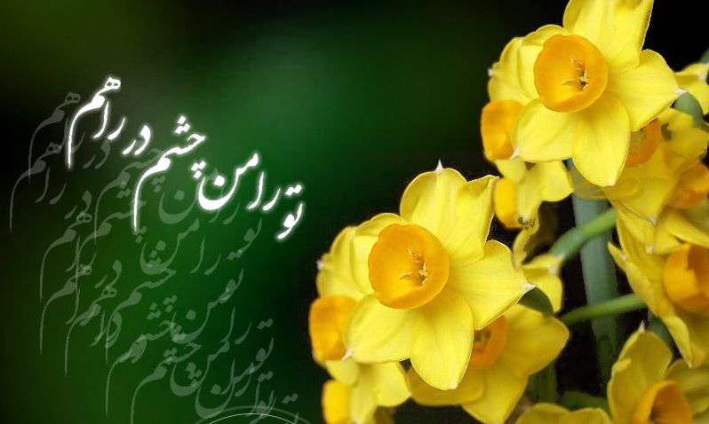 نظر امام زمان(عج) درباره تعیین کنندگان وقت ظهور نظر امام زمان(عج) درباره تعیین کنندگان وقت ظهور