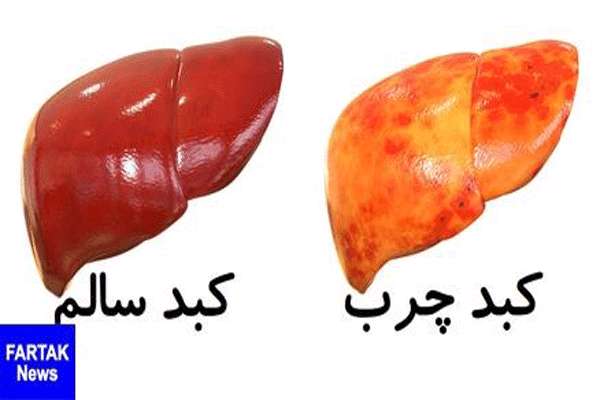 بررسی تاثیر عصاره های مختلف گیاهی بر روی فعالیت آنزیم کاتالاز کبد گوساله بررسی تاثیر عصاره های مختلف گیاهی بر روی فعالیت آنزیم کاتالاز کبد گوساله