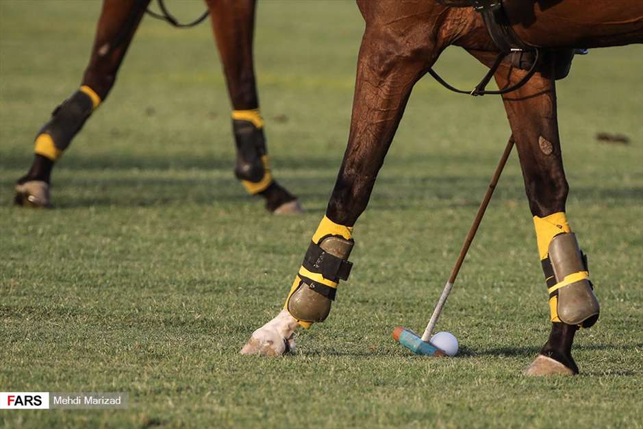 رونمایی از سند ثبت جهانی چوگان
