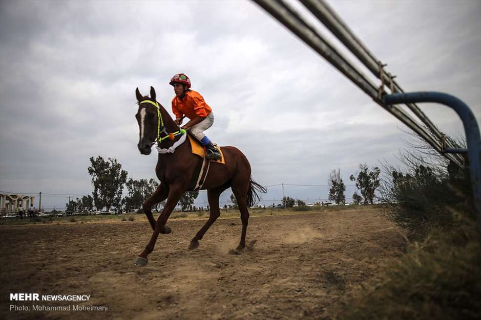 کورس تابستانی سوارکاری بندرترکمن
