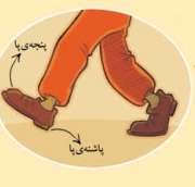 درست راه برویم