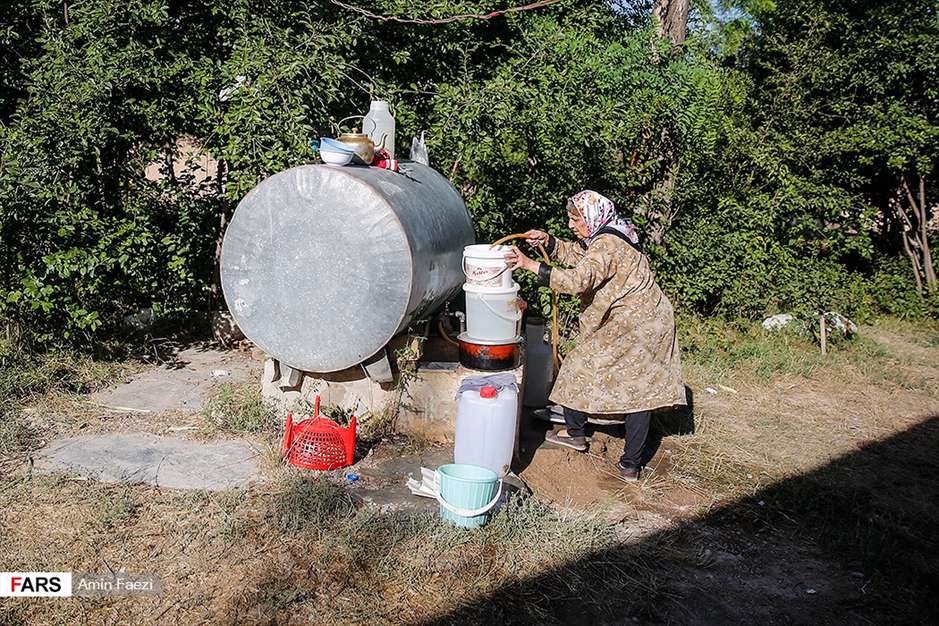 گلبرگ های سخت 