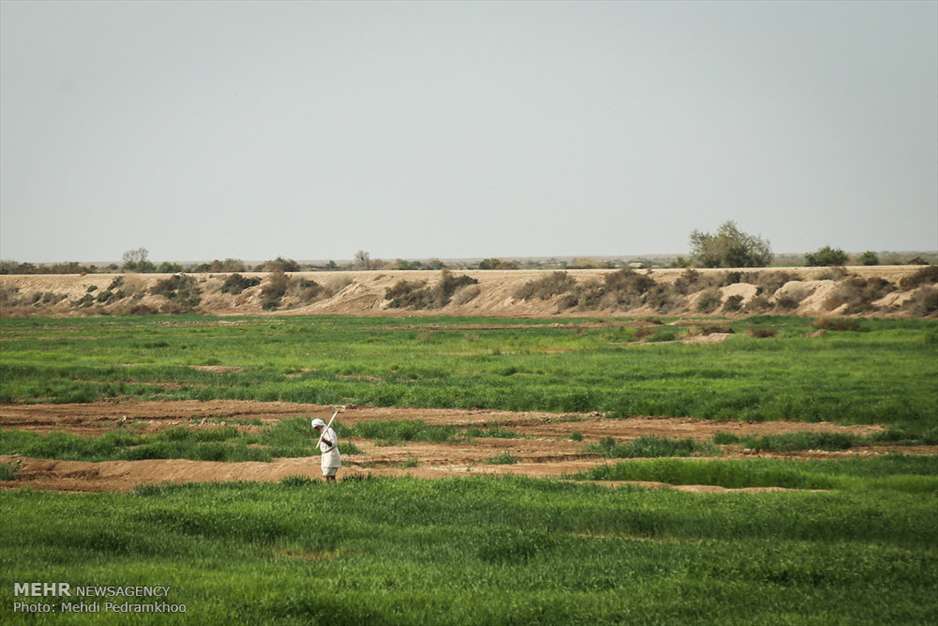 داستان یک هور 
