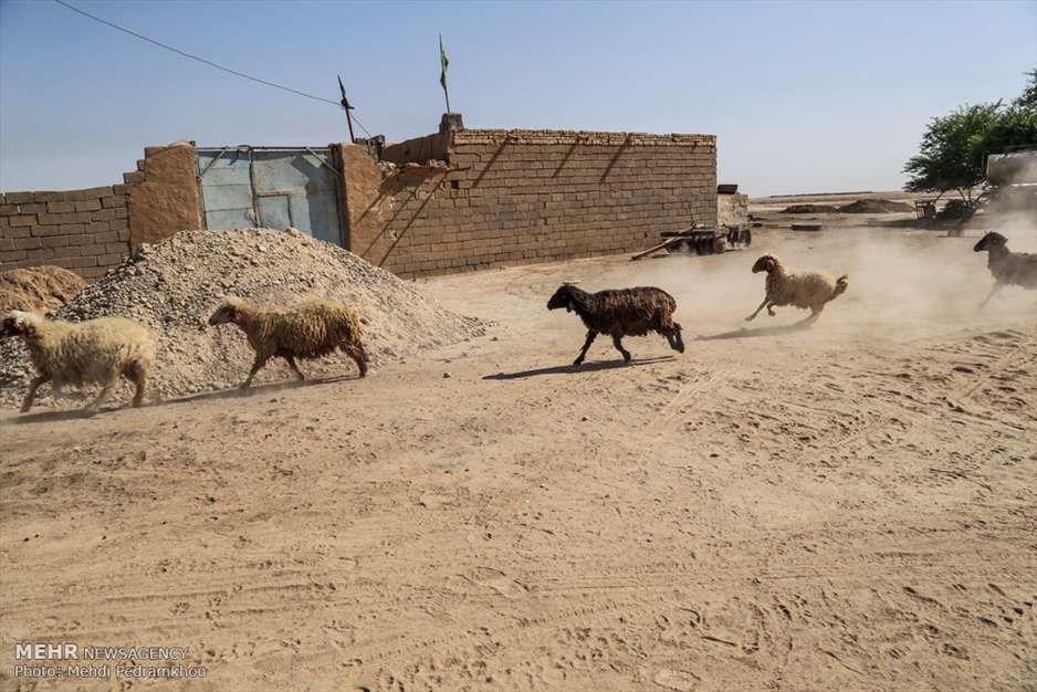 داستان یک هور 