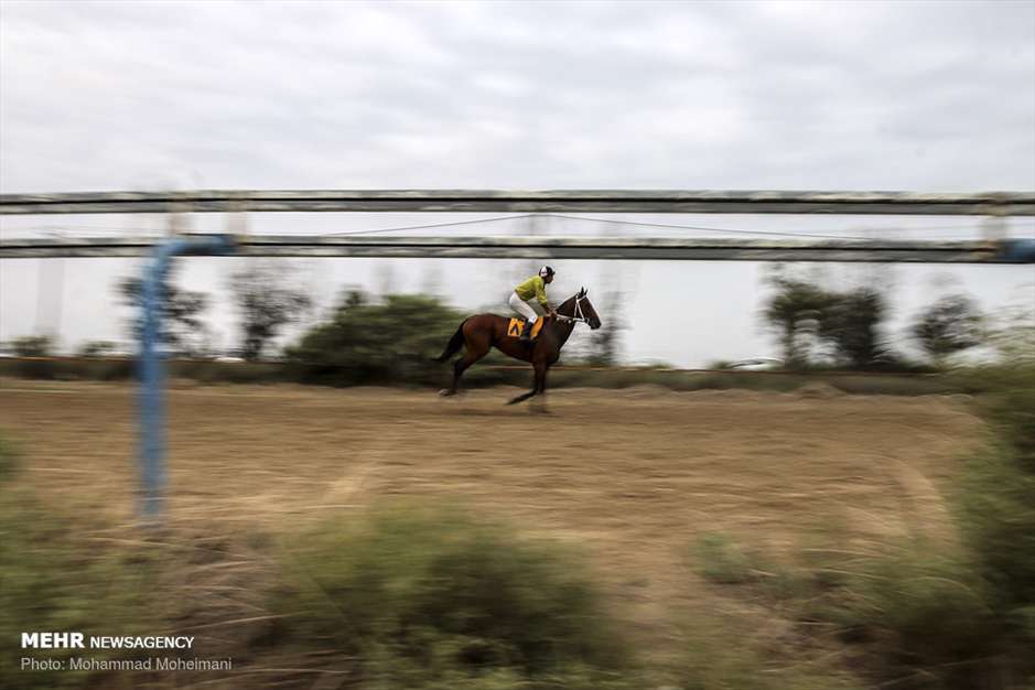 کورس تابستانی سوارکاری بندرترکمن