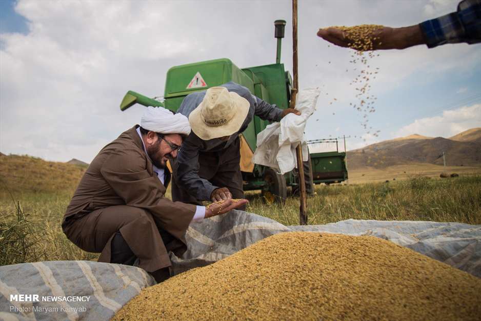 زکات؛ شکرگزاری سخاوت زمین