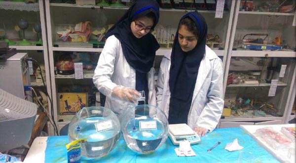 اثر پروبیوتیک ها بر رشد ماهی کوی (کپور ماهیان)، دستاورد برتر دوره اول هما