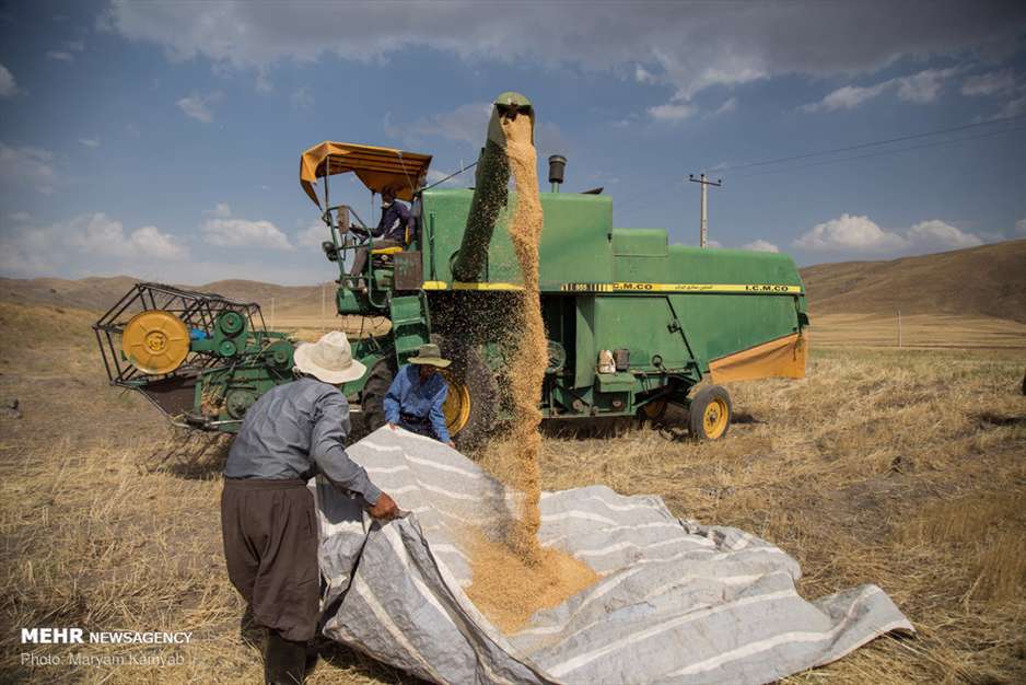 زکات؛ شکرگزاری سخاوت زمین