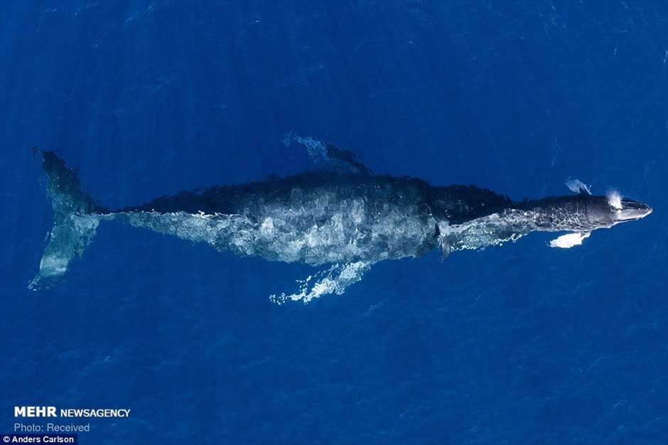 عکس های پهبادی 