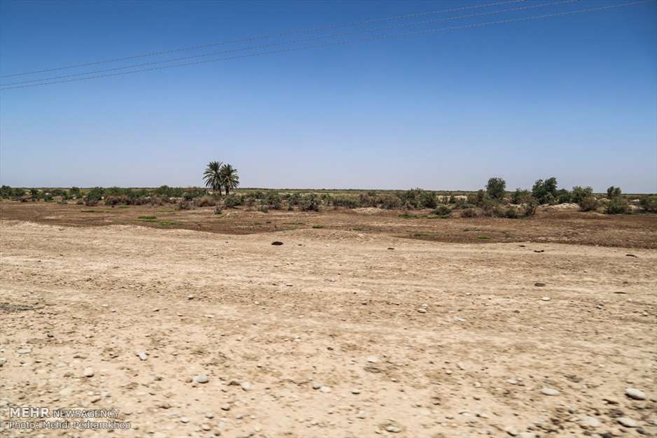 داستان یک هور 