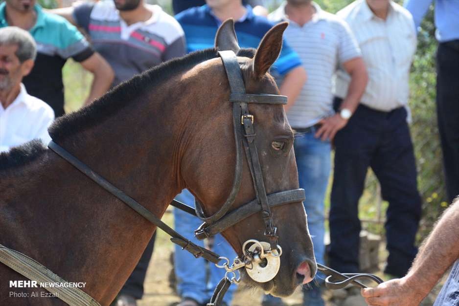 جشنواره بازی‌های بومی، محلی جواهردشت
