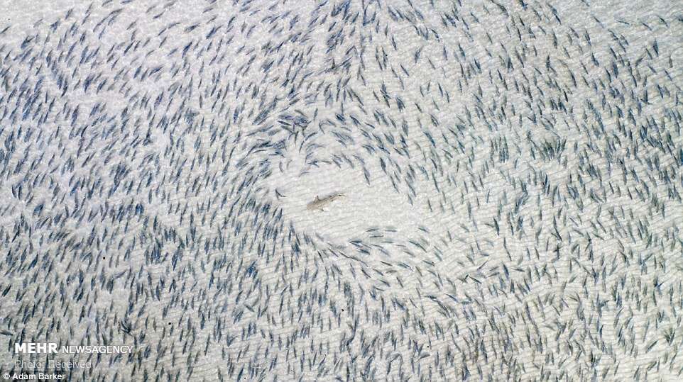 عکس های پهبادی 