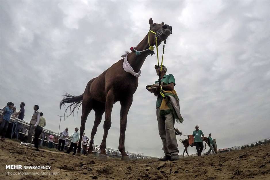 کورس تابستانی سوارکاری بندرترکمن