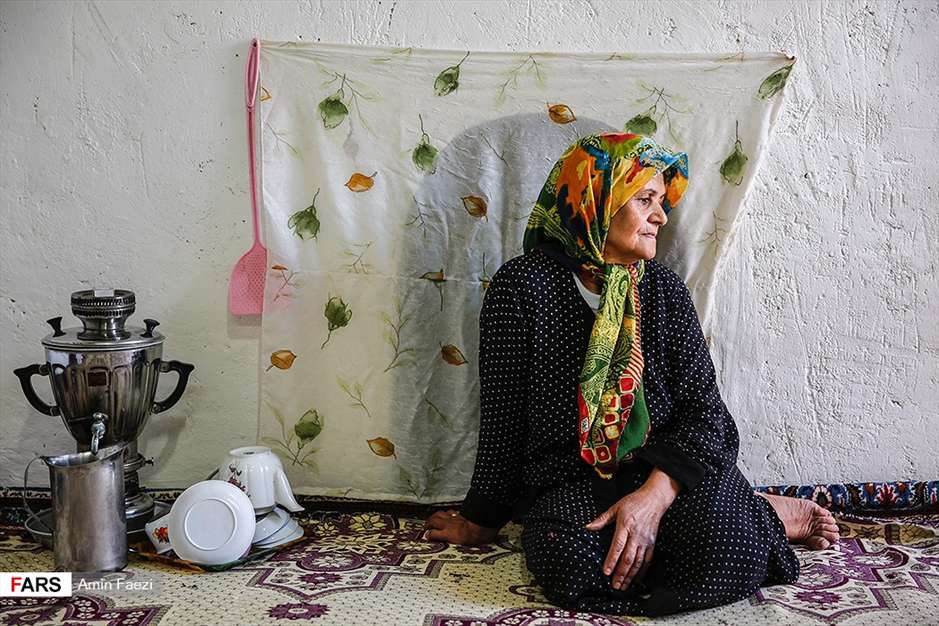 گلبرگ های سخت 