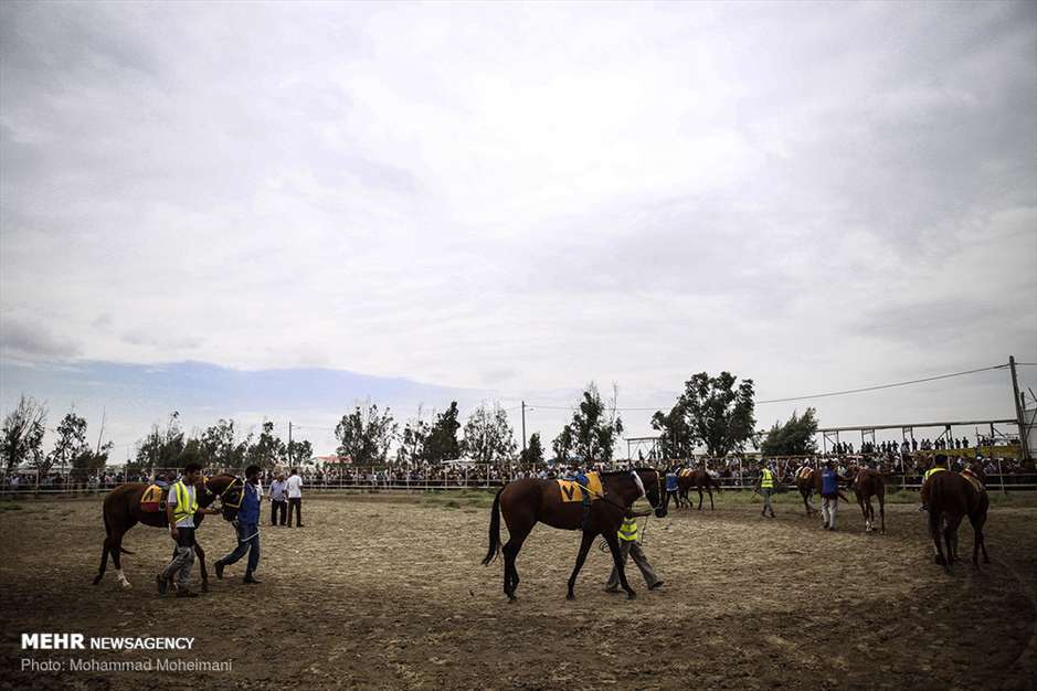 کورس تابستانی سوارکاری بندرترکمن