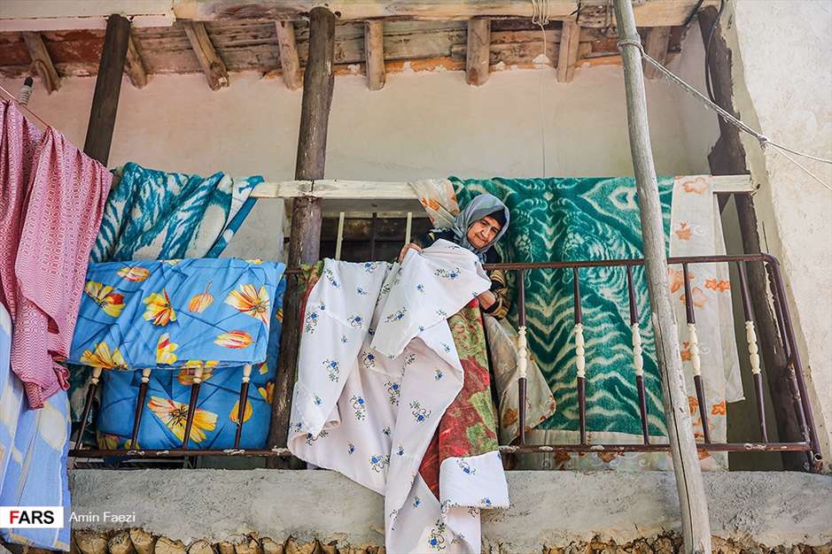 گلبرگ های سخت 