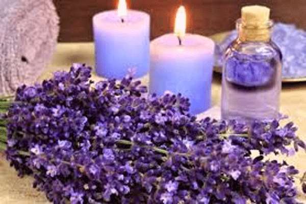 تأثیر عصاره بابونه، دارچین و اسطوخودوس بر یادگیری تأثیر عصاره بابونه، دارچین و اسطوخودوس بر یادگیری