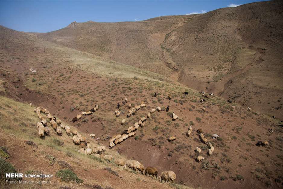 زندگی عشایر کرمانج خلخال