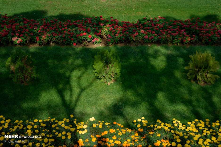 ششمین نمایشگاه گل و گیاه کرج