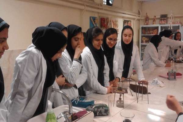 ساخت پد مسکن دردهای عضلانی به کمک استخراج ماده موثره گیاهان دارویی