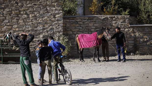 حرکت نمادین ورود کاروان امام حسین (ع) به کربلا