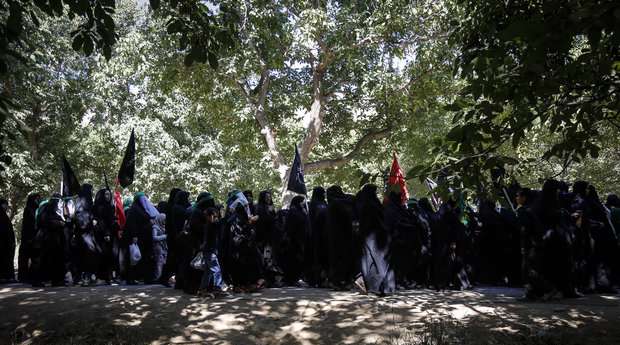 حرکت نمادین ورود کاروان امام حسین (ع) به کربلا