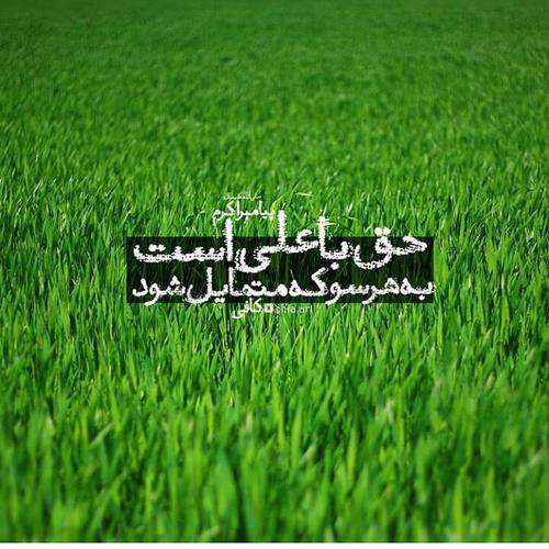 حدیثی از پیامبر اکرم