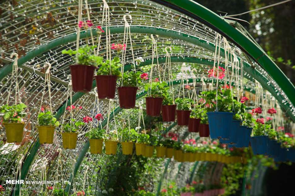 ششمین نمایشگاه گل و گیاه کرج