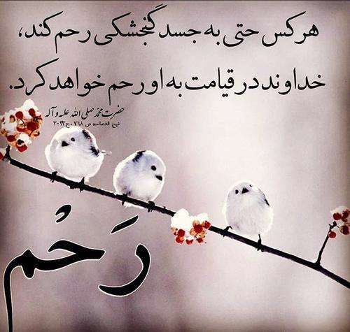 حدیثی از پیامبراکرم