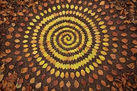 هنرمندی که از هر چیزی چیدمان های هنری می سازد 