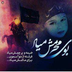 بوی محرم می آید