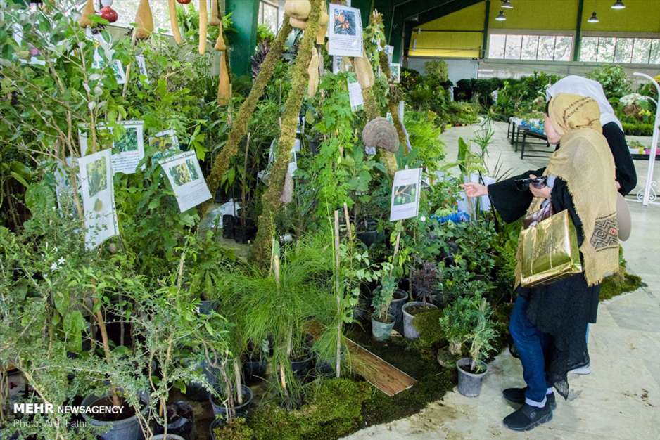 ششمین نمایشگاه گل و گیاه کرج