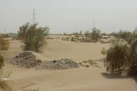 شروع بادهای ۱۲۰ روزه در سیستان