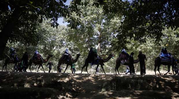 حرکت نمادین ورود کاروان امام حسین (ع) به کربلا