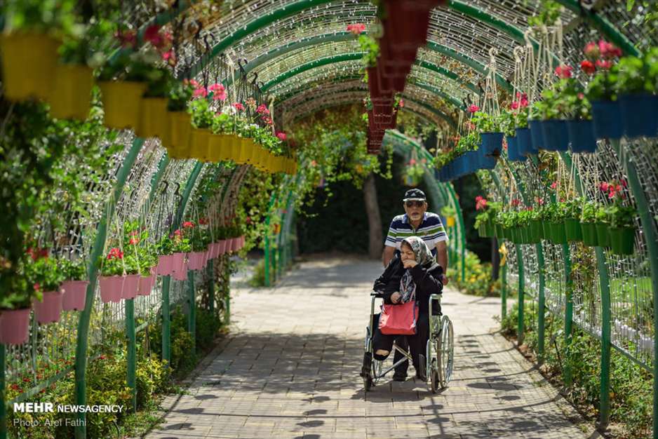 ششمین نمایشگاه گل و گیاه کرج