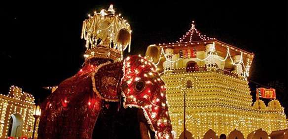 تزئین خاص فیل‌ها در جشنواره سنتی سریلانکا 