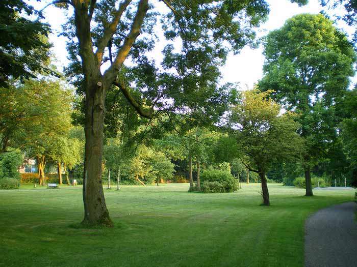 طراحی کابینی رویایی مخصوص داوطلبان کار در پارکی در آمستردام 