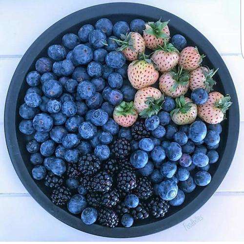 ظرف میوه های خوشمزه
